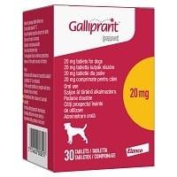 Galliprant Tablets for Dogs Image 1