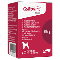 Galliprant Tablets for Dogs Image 1