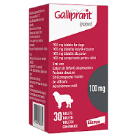 Galliprant Tablets for Dogs Image 1