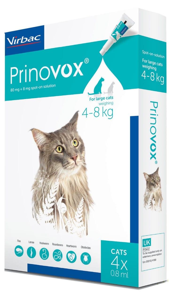 Prinovox Spot On Solution for Cats Image 1