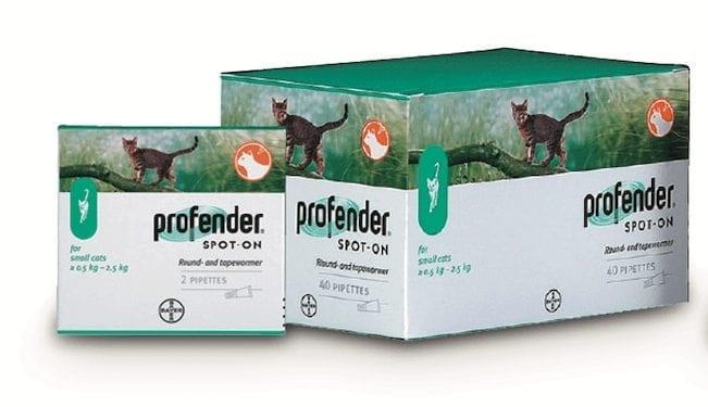 Profender Spot On Solution for Cats Image 1