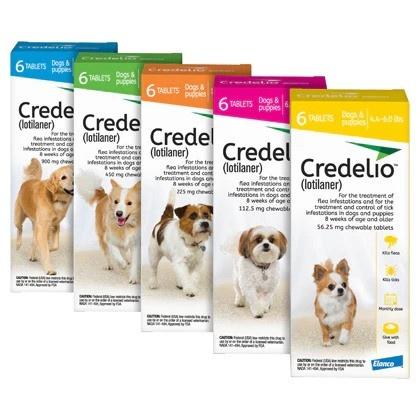 Credelio Chewable Tablets for Dogs Image 1