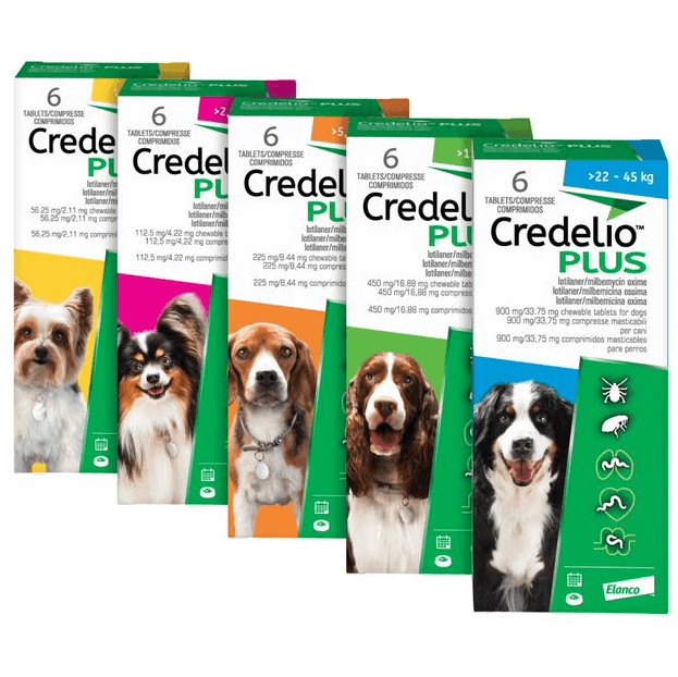 Credelio Plus Flea and Tick Chewable Tablets for Dogs Image 1