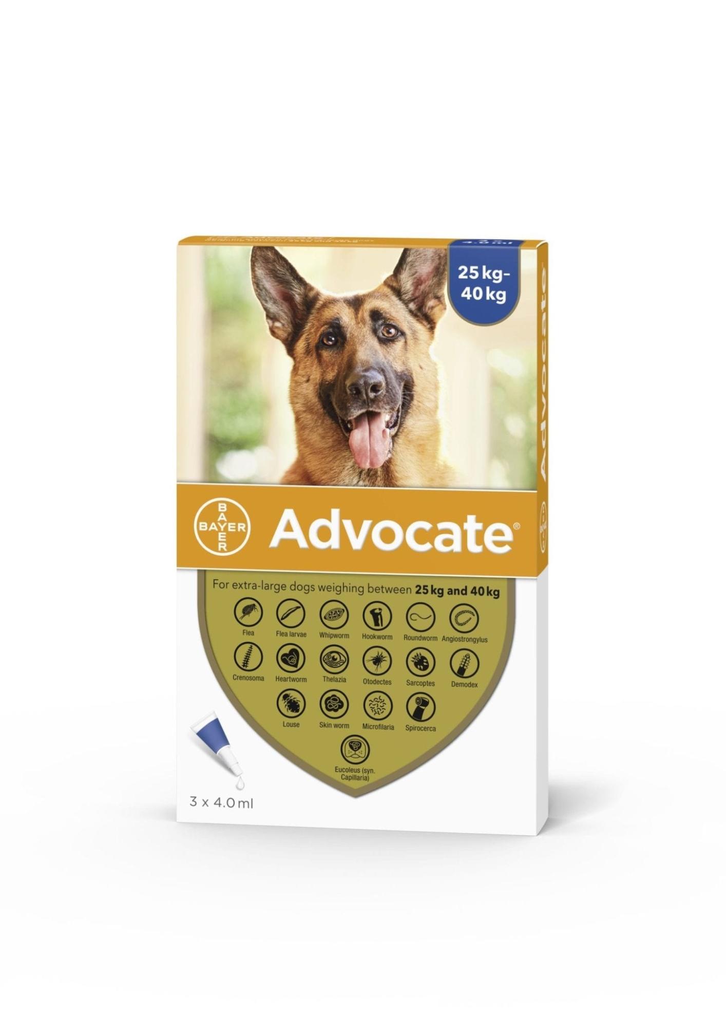 Advocate Spot On Solution for Dogs Image 1