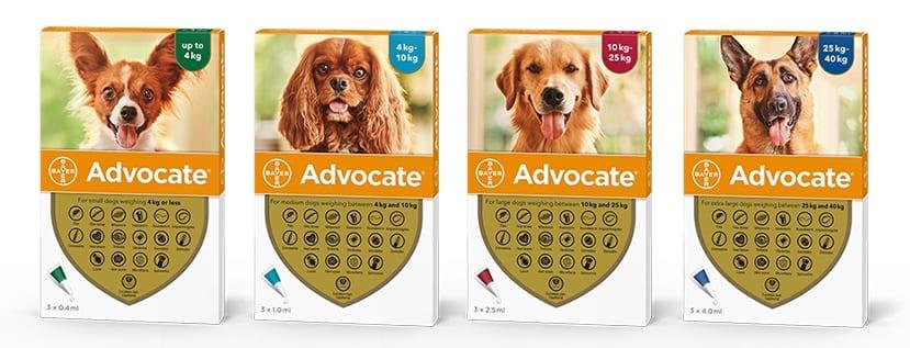 Advocate Spot On Solution for Dogs Image 1