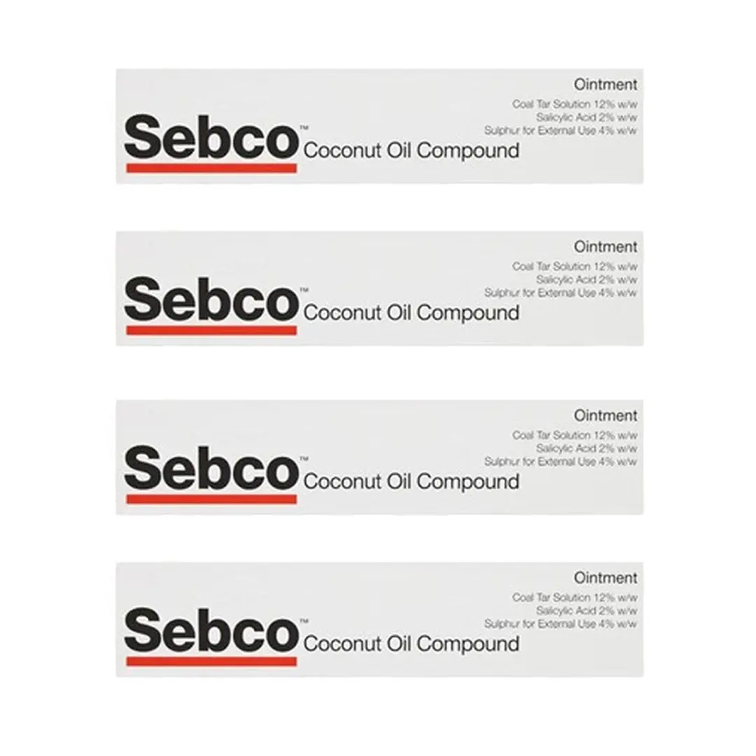 Sebco Ointment 100g Image 1