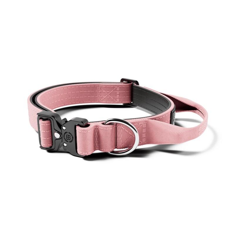 BullyBillows 2.5cm Combat Collar for Dogs Image 1