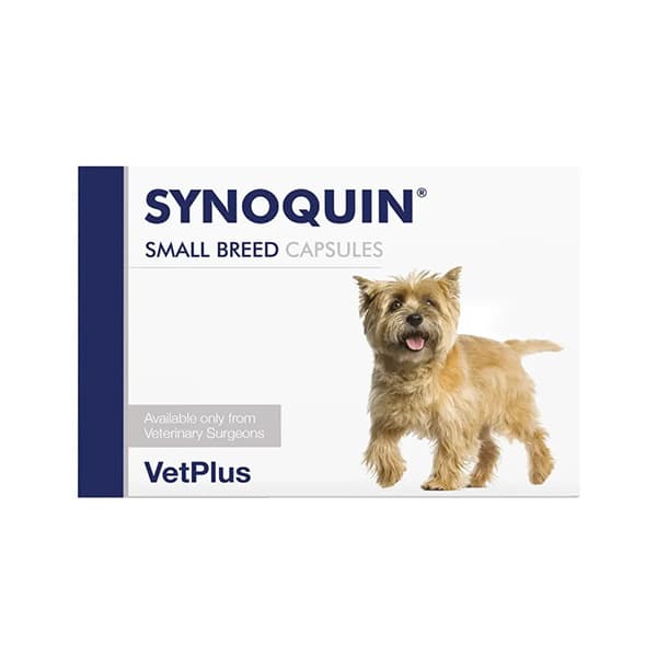 Synoquin Joint Supplement Capsules for Dogs Image 1
