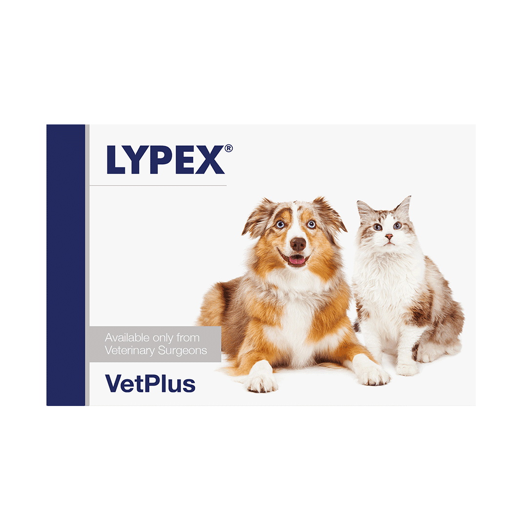 Lypex Capsules for Dogs and Cats Image 1