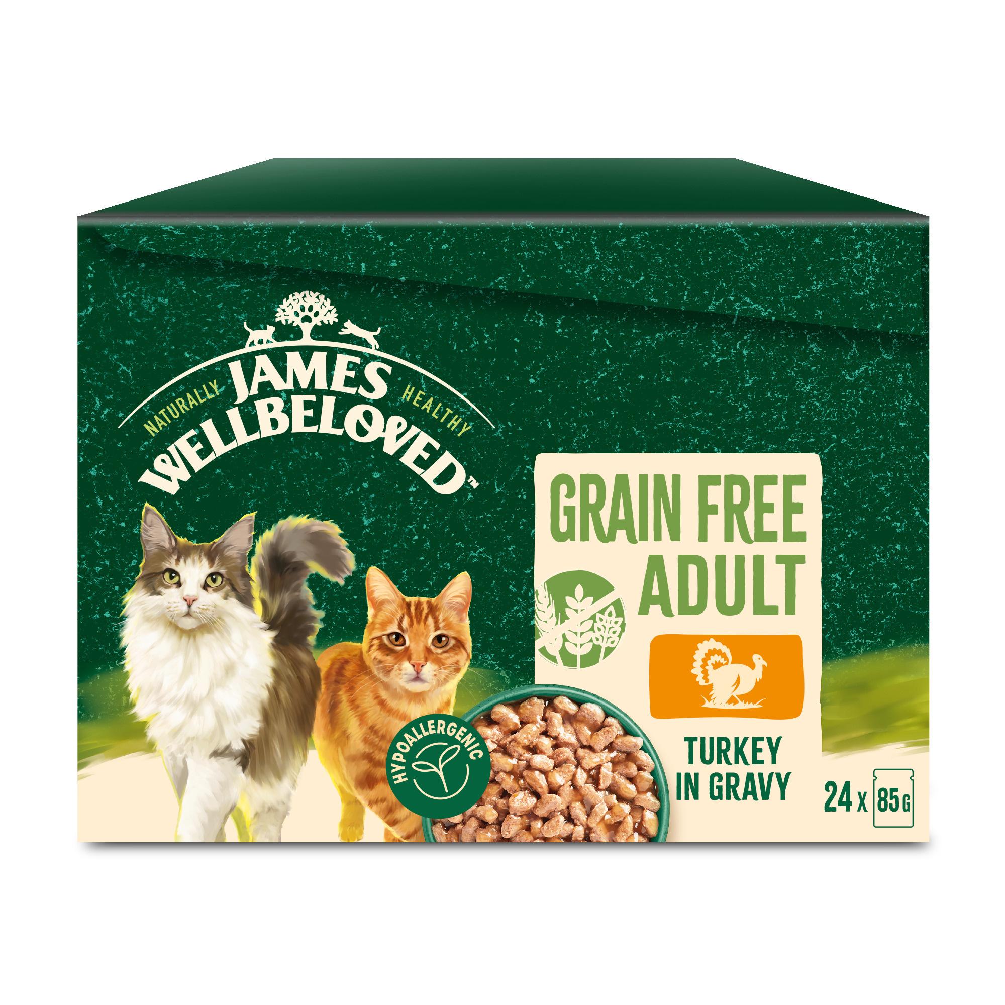 James Wellbeloved Grain Free Adult Cat Wet Food Pouch Turkey in Gravy 24x85g Image 1