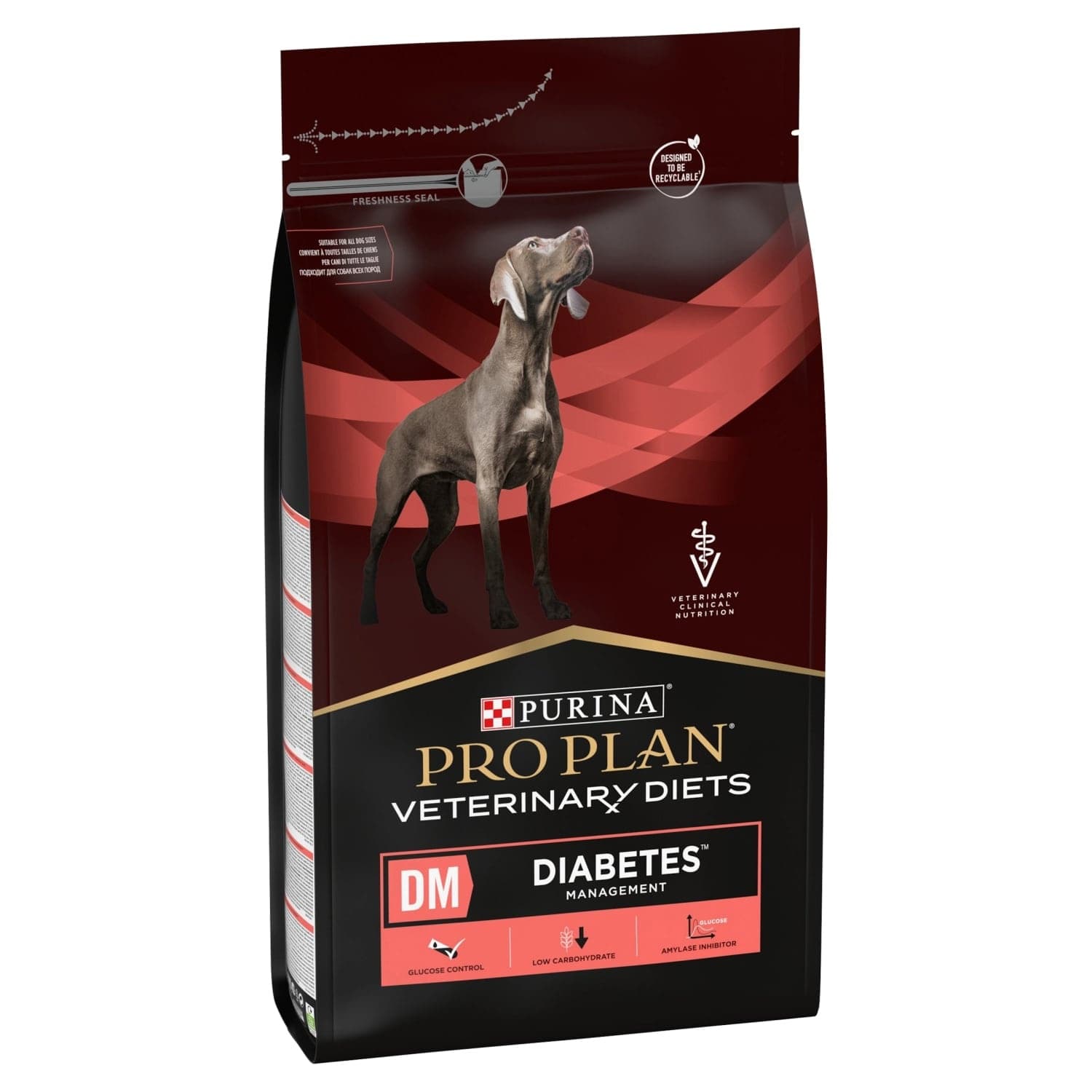 A closer look at Raw Meat Diet For Dogs With Runny Nose And Diabetes